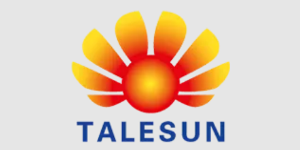 talesun-solar-logo-1920w 1